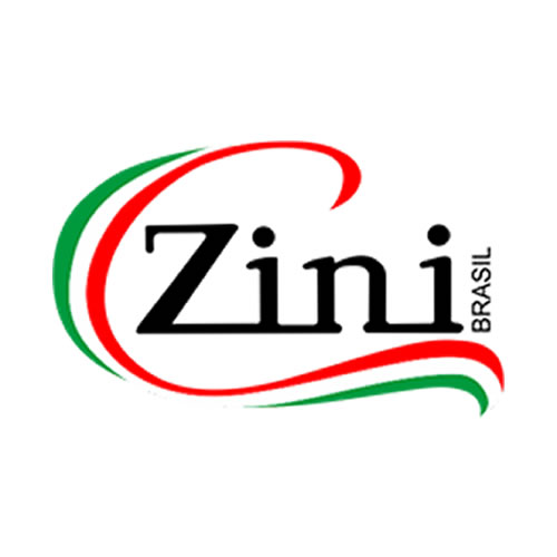 Zini